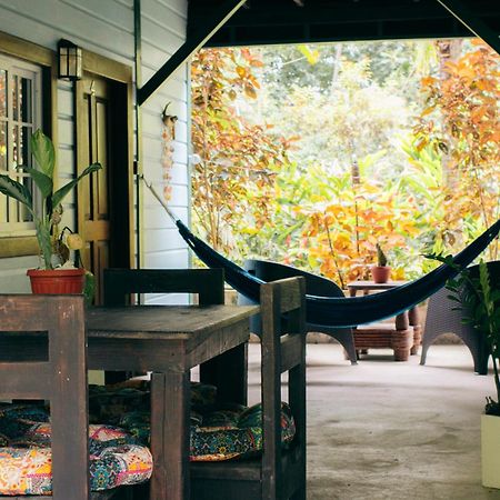 Big Creek Casa De Mono Bocas Bed & Breakfast エクステリア 写真