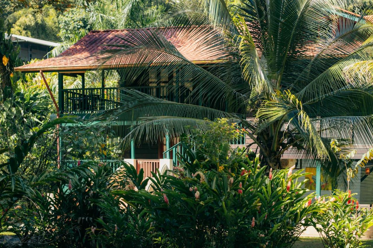 Big Creek Casa De Mono Bocas Bed & Breakfast エクステリア 写真