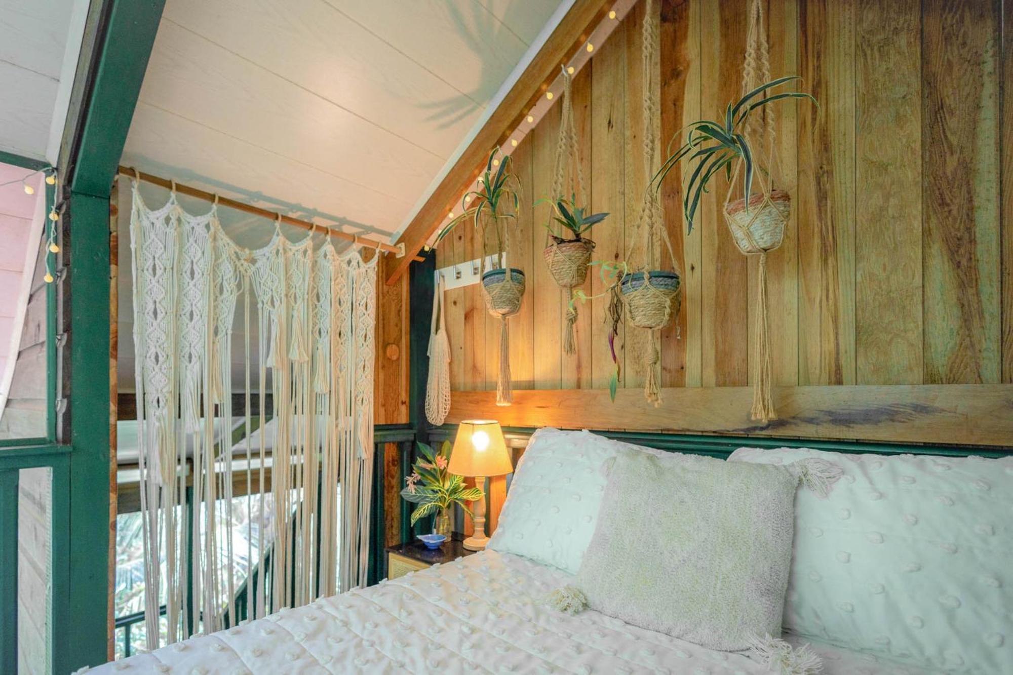 Big Creek Casa De Mono Bocas Bed & Breakfast エクステリア 写真