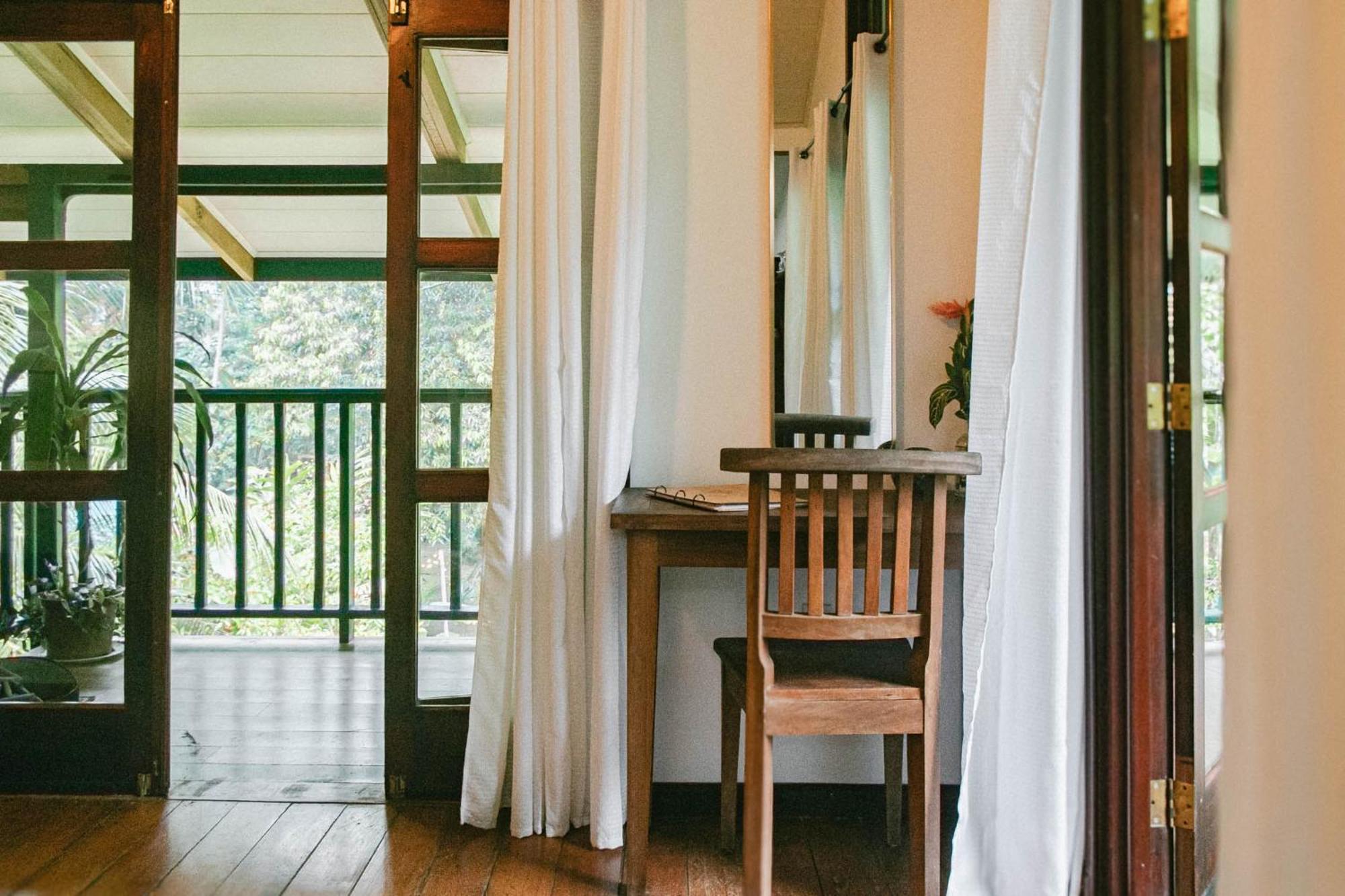 Big Creek Casa De Mono Bocas Bed & Breakfast 部屋 写真