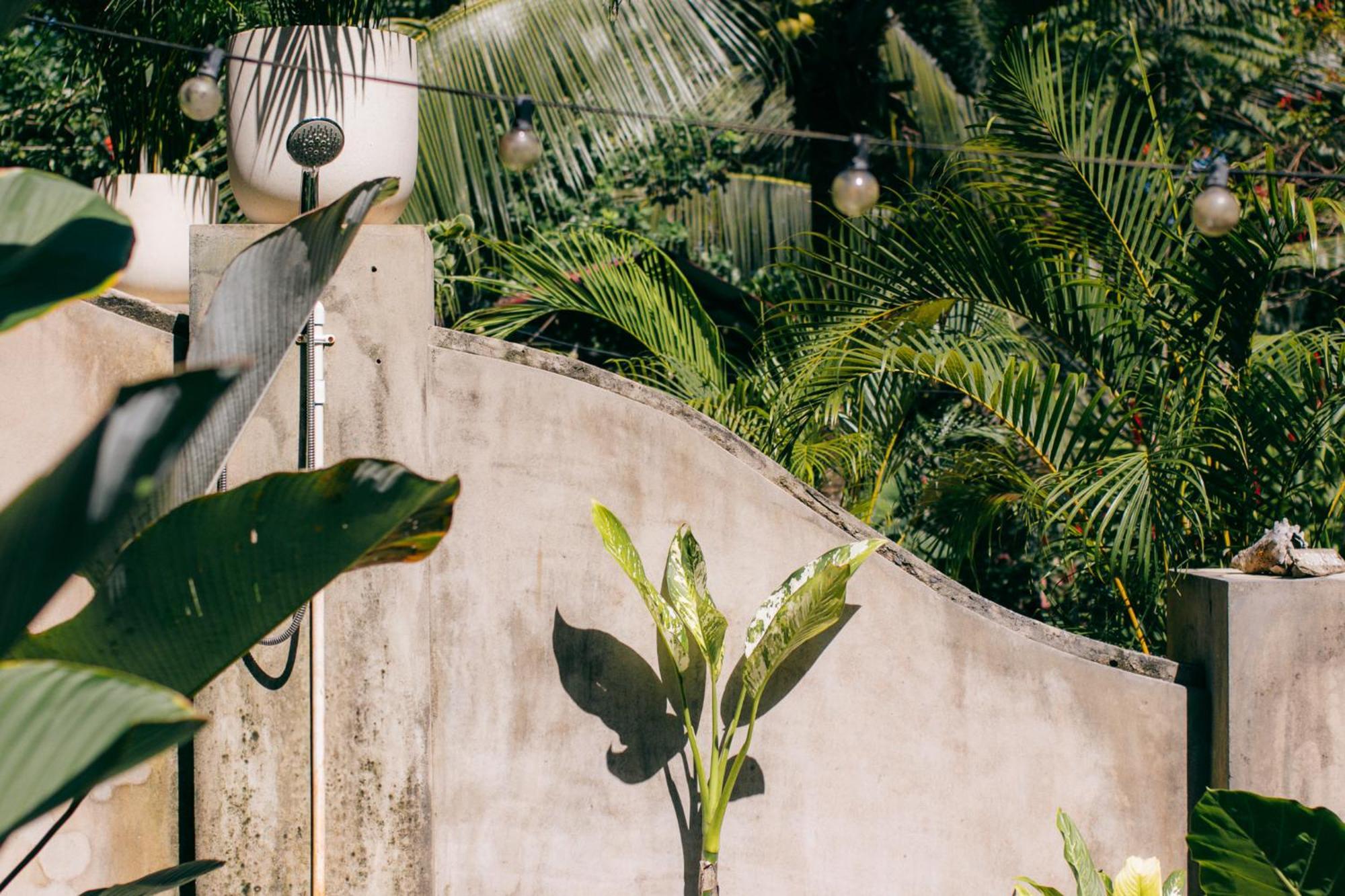 Big Creek Casa De Mono Bocas Bed & Breakfast エクステリア 写真