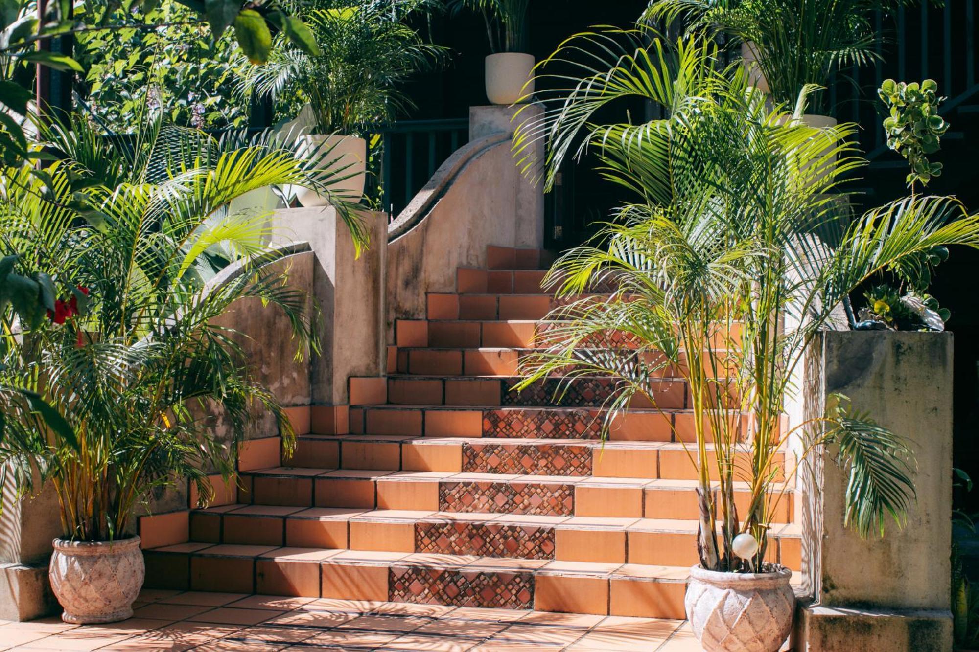 Big Creek Casa De Mono Bocas Bed & Breakfast エクステリア 写真