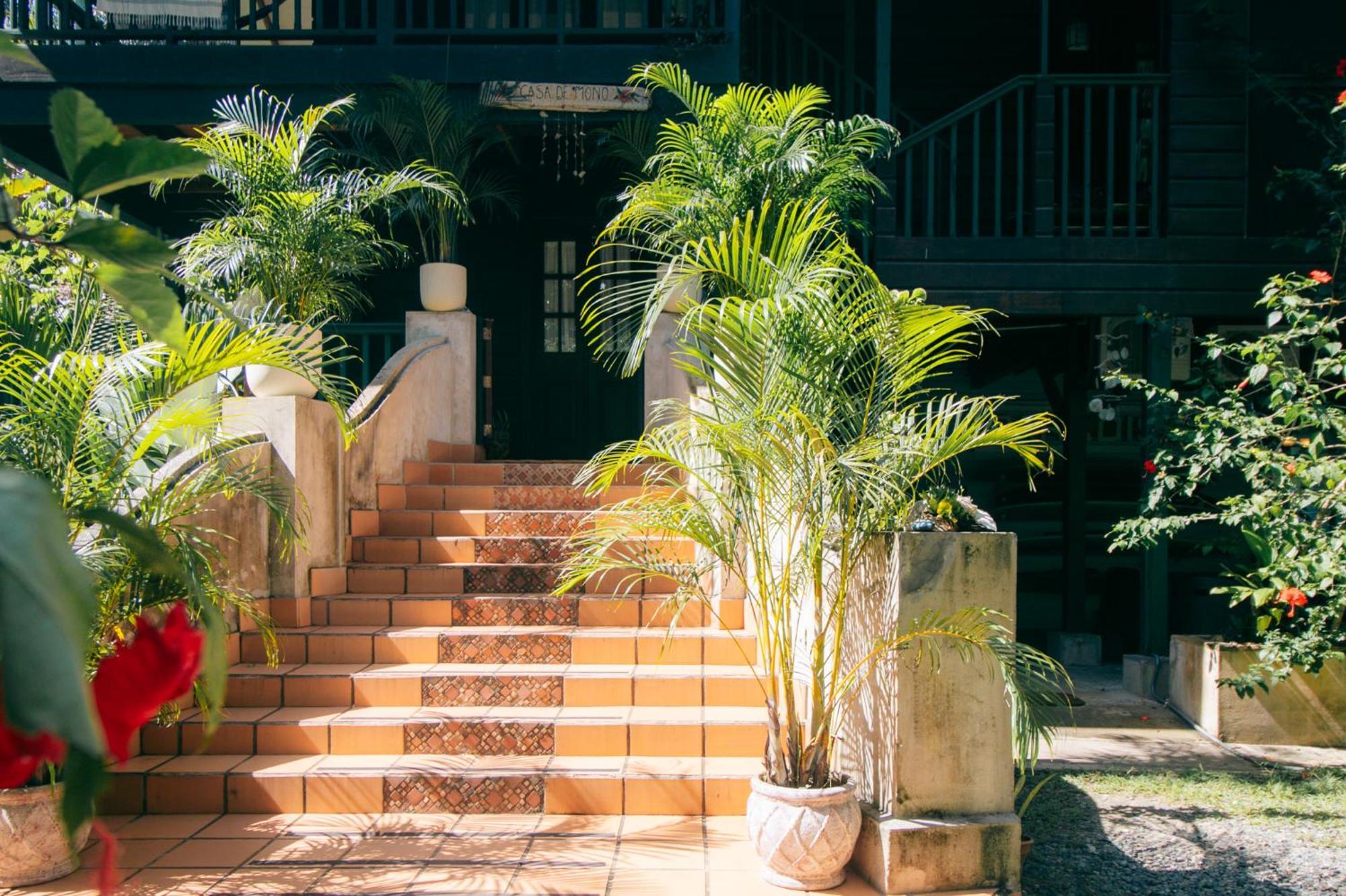 Big Creek Casa De Mono Bocas Bed & Breakfast エクステリア 写真