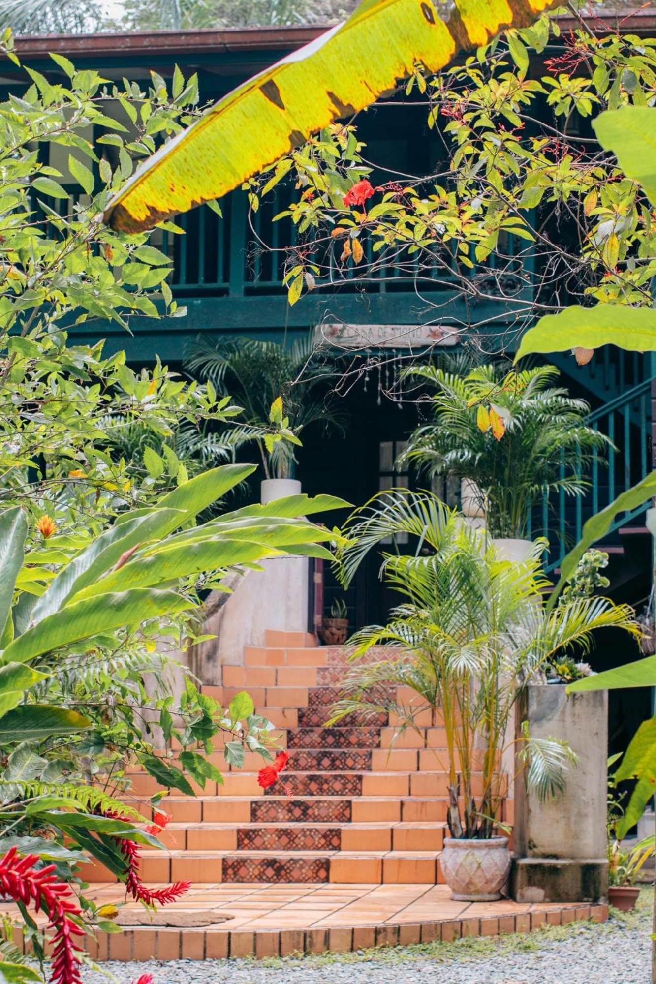 Big Creek Casa De Mono Bocas Bed & Breakfast エクステリア 写真