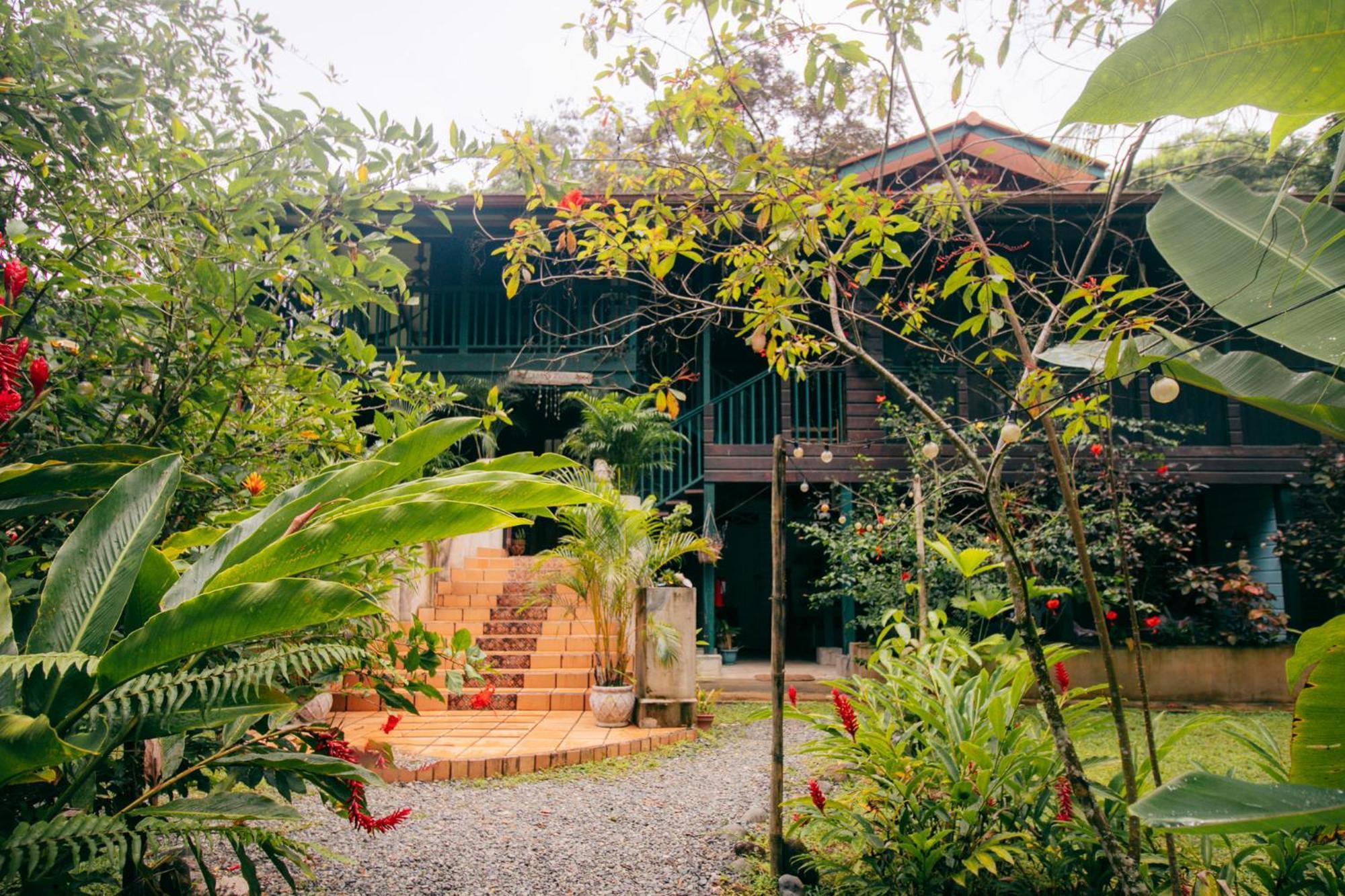 Big Creek Casa De Mono Bocas Bed & Breakfast エクステリア 写真