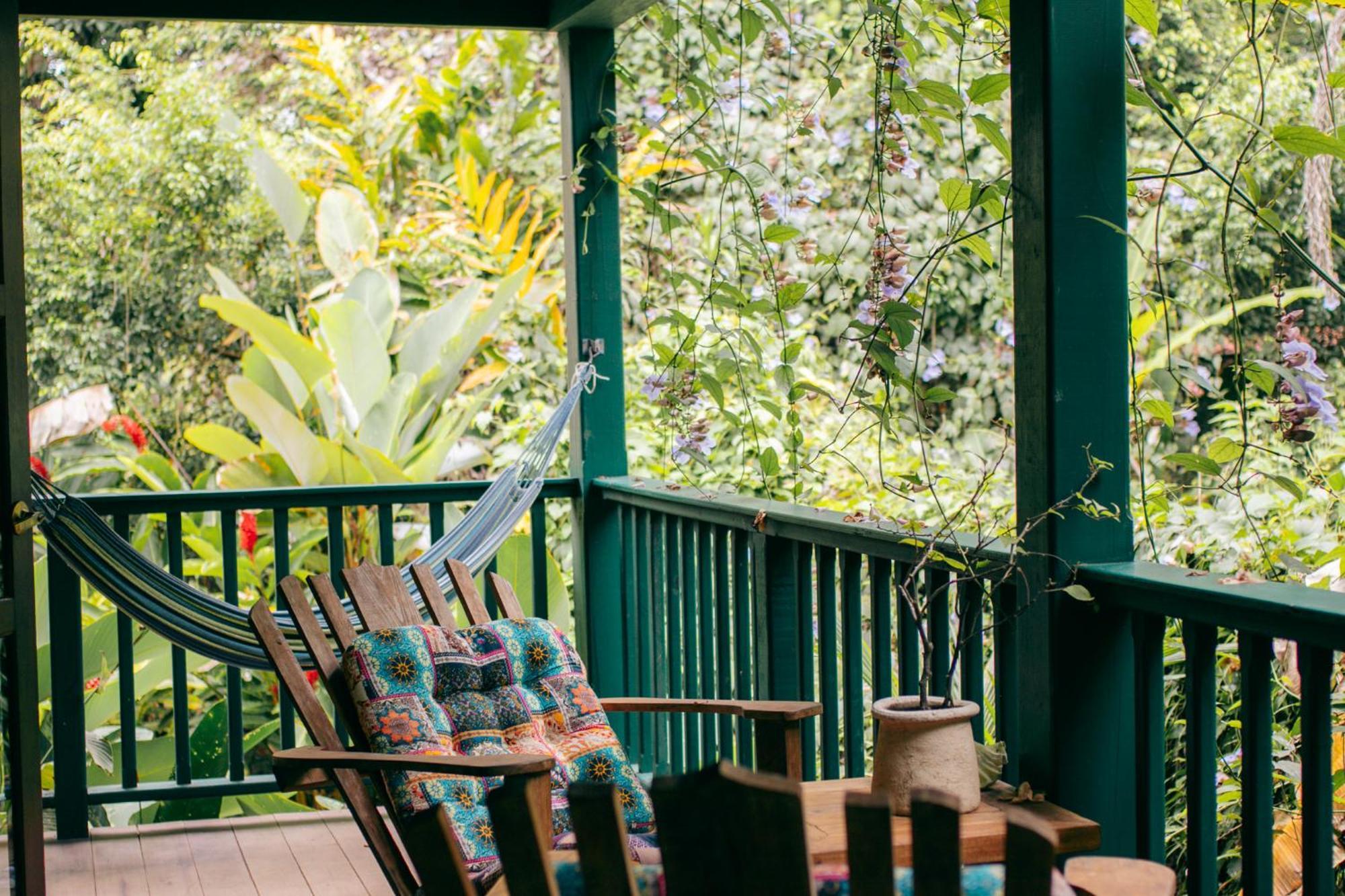 Big Creek Casa De Mono Bocas Bed & Breakfast エクステリア 写真