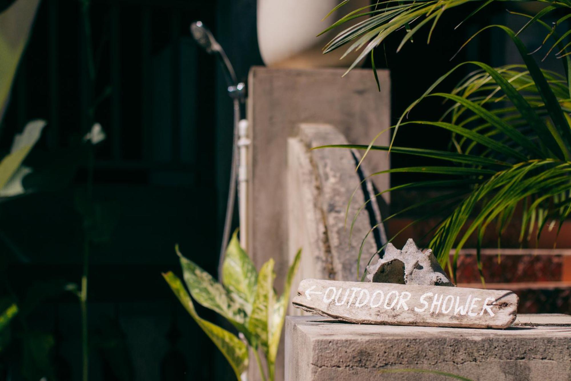 Big Creek Casa De Mono Bocas Bed & Breakfast エクステリア 写真