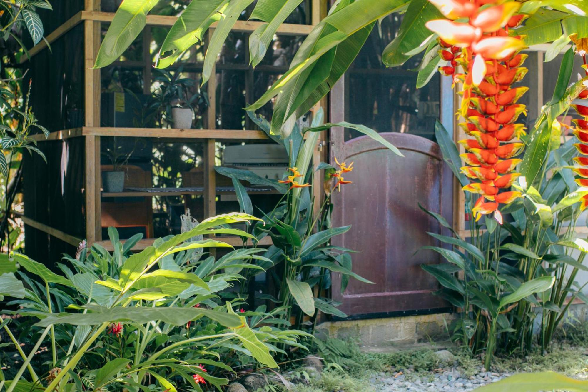 Big Creek Casa De Mono Bocas Bed & Breakfast エクステリア 写真